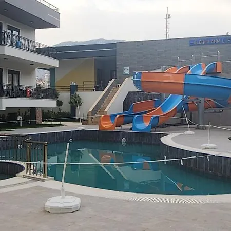 Adelion Albimo Loft