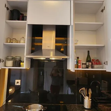 Adelion Albimo Loft Apartment